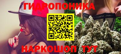 гидра Пыть-Ях