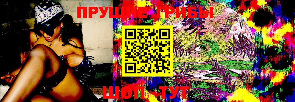 Рязань  магазин продажи   Вход с VPN  Псилоцибиновые грибы Magic Shrooms 
